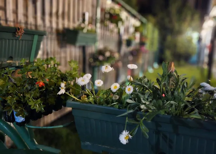 Casa Melisa Eforie Nord