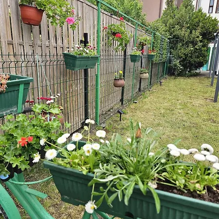 Pensiune Casa Melisa 4*